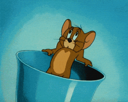 200.gif?cid=f0bdee70xvu9tf26t4eksl69xhno6m2kwg2w8uj1bh9re12c&rid=200.gif&ct=g