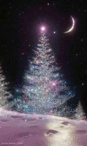 Poel Makelaardij GIF