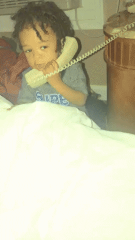 giphy.gif