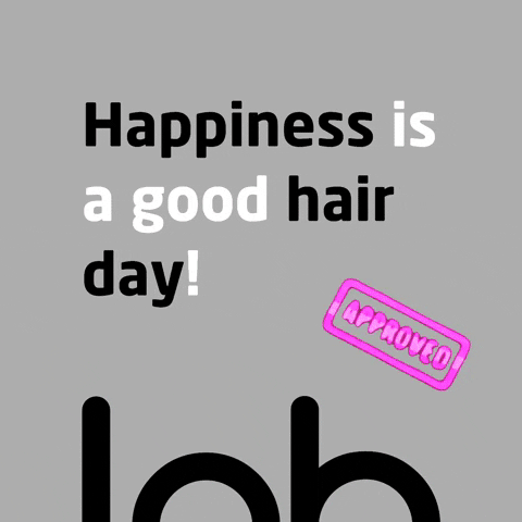 LabParrucchieri GIF