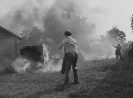 Film Hungarian GIF