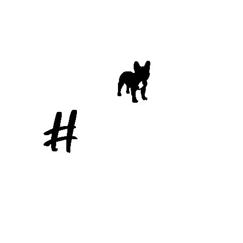 Quote Learn Sticker by Brindle Marketing