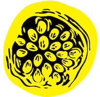 Beer Bar Sticker by ColectivoIcaro