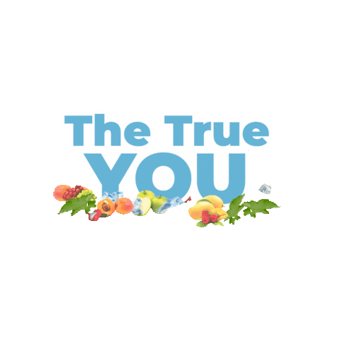 JVS Group Indonesia Sticker