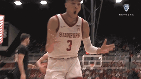 [Image: giphy.gif?cid=ecf05e47geblfcd7ckqsduj70g...=giphy.gif]