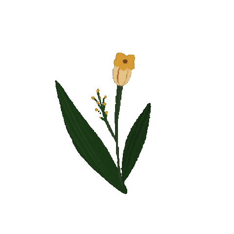 Animated Sticker