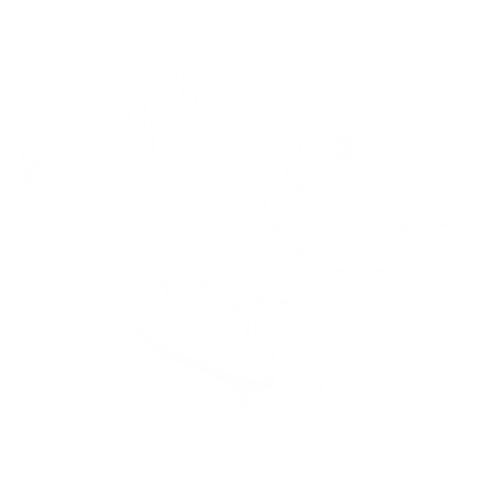 Skate Sticker