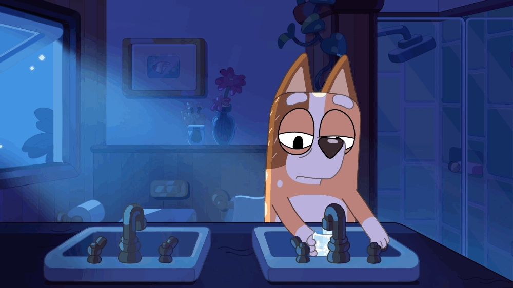 bluey sleepytime book bluey sleepytime book