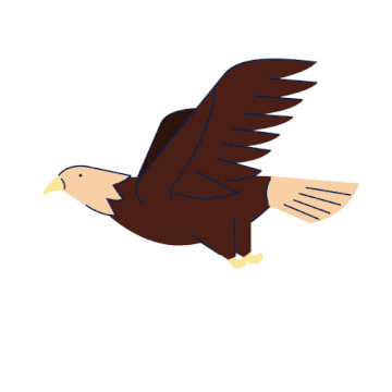 Bird Eagle Sticker by Tourism Vancouver Island