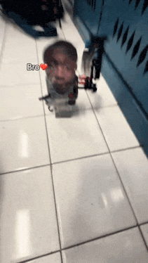 Bro GIF