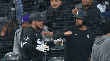 Home Run Sport GIF by Chicago White Sox