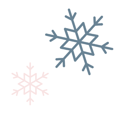 Merry Christmas Sticker by Seniorenhilfe SMMP