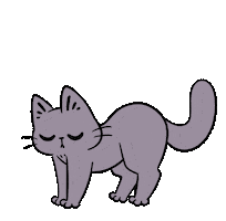 Cat Dancingcat Sticker