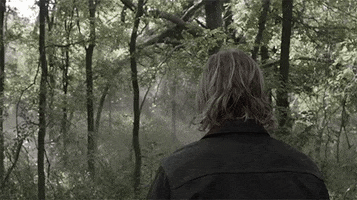 Adc The Walking Dead GIF by AMC Latinoamérica
