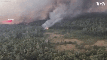 wildfire australia fires australia fire GIF
