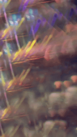 Light Waves Party GIF by Mollie_serena