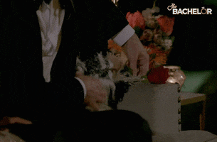 200.gif?cid=fc005b08a4a1f78f5b481d5db9bcc2cc784a3c1ffaa68bd6&rid=200.gif&ct=g