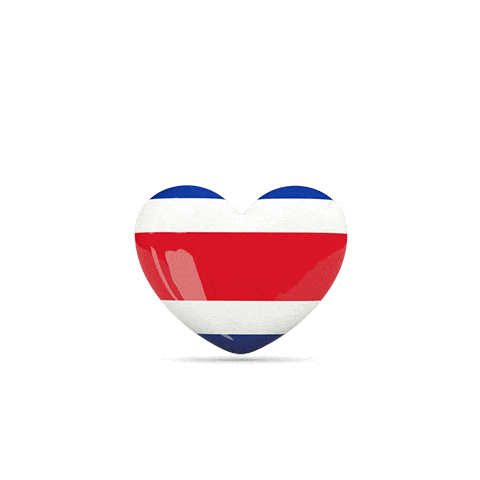 Costarica Sticker by Karetas Protectoras