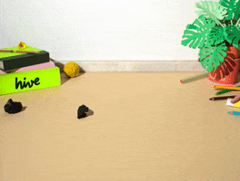 Ride Hive GIF