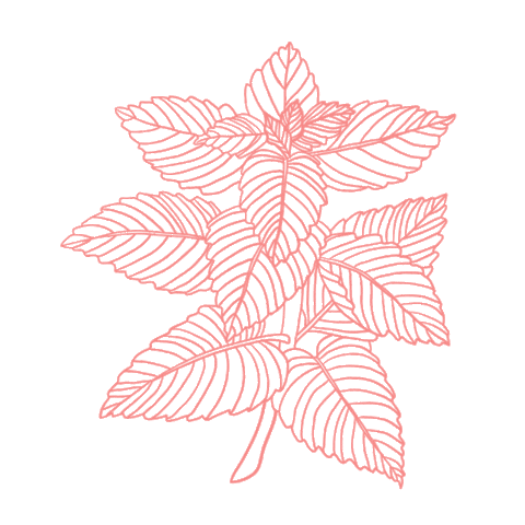 Shapes Sticker