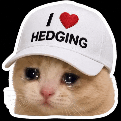 Geoguessr Hedging GIF