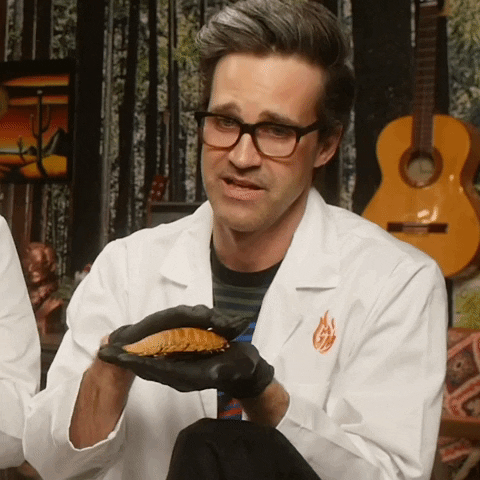 Good Mythical Morning Pet GIF by Rhett and Link