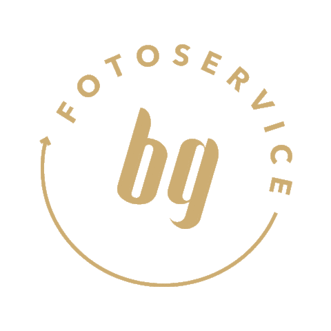 ballguide Sticker