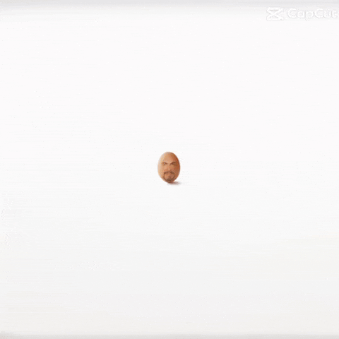 Egg GIF