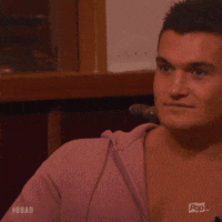 Pop Tv Yesterday GIF by Big Brother After Dark