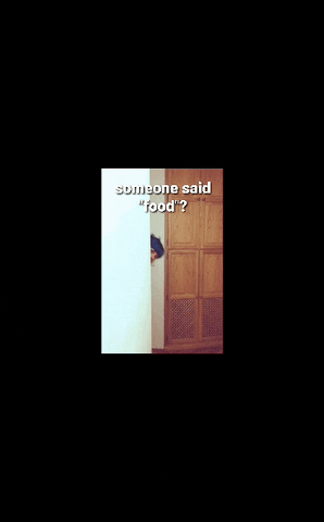 PAENDA GIF