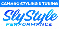 SlyStylePerformance GIF