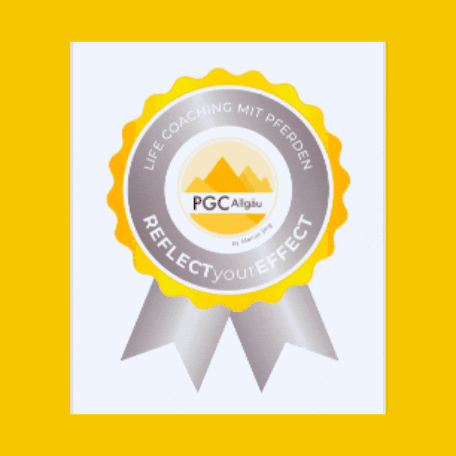 pgc-allgaeu GIF