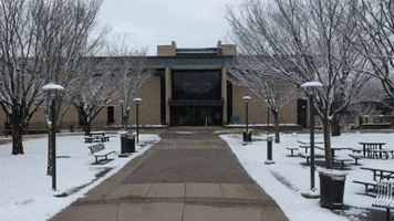 Snow Flying GIF by Anne Arundel Community College