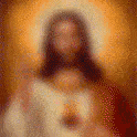 giphy.gif?cid=4d1e4f2907b36ee2949cef2cfb