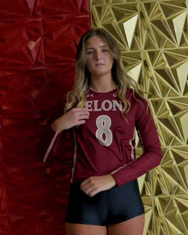 Elon Volleyball GIF by Elon Phoenix