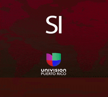 UnivisionPuertoRico jugandopelotadura GIF
