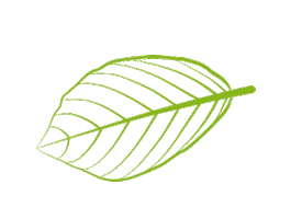 Instagram Verde Sticker by Ecoforte