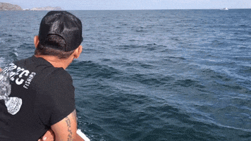 SHIP REC FISHING GIF