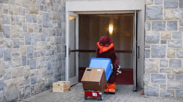 Boxes Moving GIF by Virginia Tech