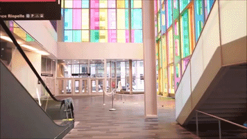 Tallia  GIF