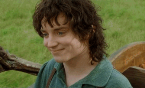 frodo baggins