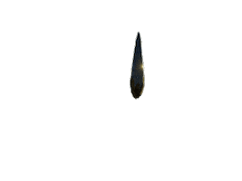 Animated Sticker