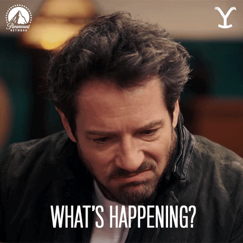 Confused Whats Happening GIF by Yellowstone