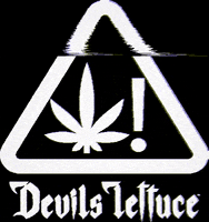 California Warning GIF by Devils Lettuce Skate