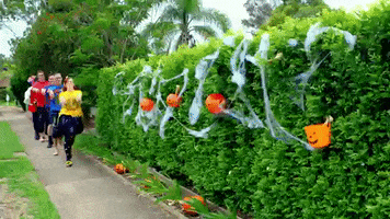 Halloween Zombie GIF by The Wiggles