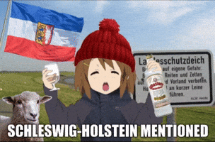 Schleswig-Holstein Kiel GIF
