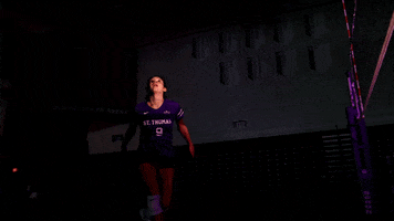 TommieAthletics volleyball hit attack st thomas GIF