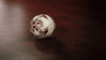 Texas State Soccer GIF