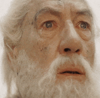 Shocked The Lord Of The Rings GIF by Maudit