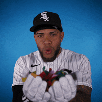Lets Go Baseball GIF by Chicago White Sox